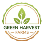 Generate_transparent_png_202512292221-removebg-preview